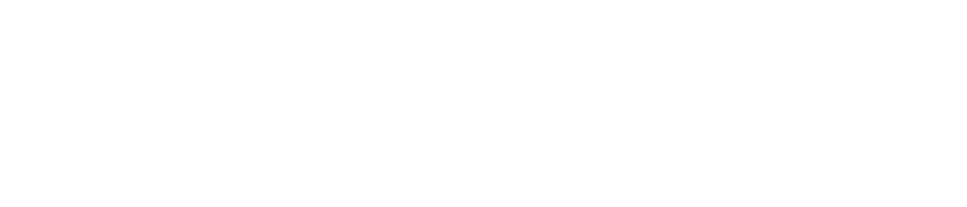 SBR logo